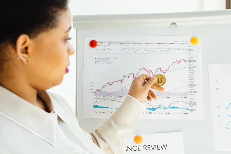 Bitchipdigital Review: What It Is, Features, Safety, and Alternatives
